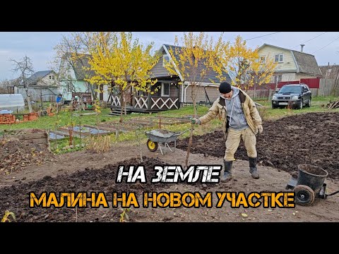 Видео: Купили новый участок! Готовим траншеи под посадку малины. 