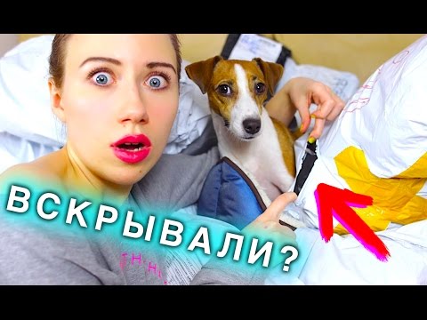Видео: ВСКРЫЛИ НА ПОЧТЕ? - ПОСЫЛКИ ИЗ КИТАЯ ДЛЯ ПИТОМЦЕВ | ПОКУПКИ ИЗ ЗООМАГАЗИНА | Elli Di Pets