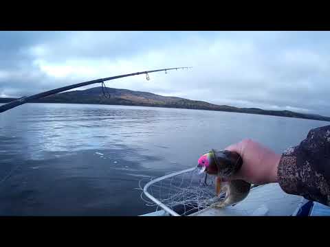 Видео: Как будто закрыл сезон....