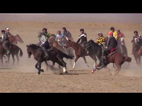 Видео: Шаймахан шабандоз 1 тайға Кабтибамен тастады Құлқұдық көкпар