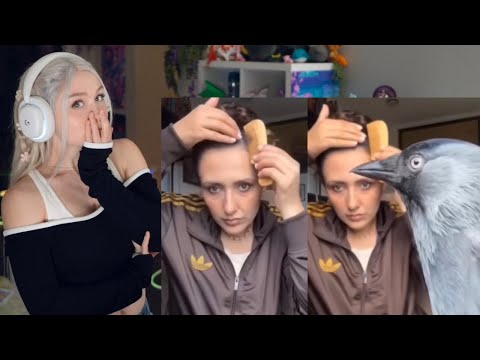 Видео: Самые смешные интернет-клипы РЕАКЦИЯ!!!