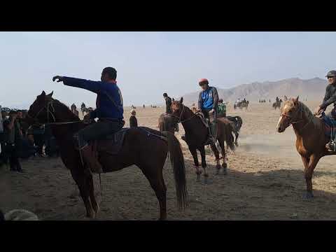 Видео: 25 октября 2025 г.