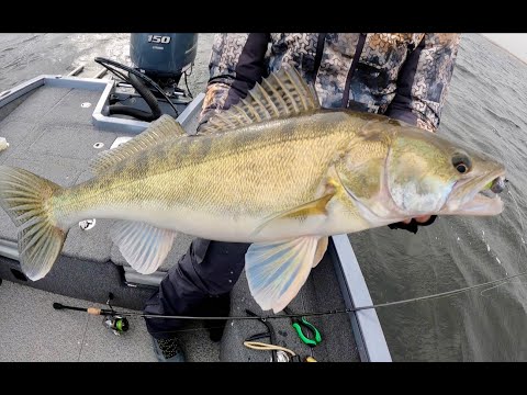 Видео: Рыбалка осенью на Волге с чемпионом PAL21 Максимом Арестовым