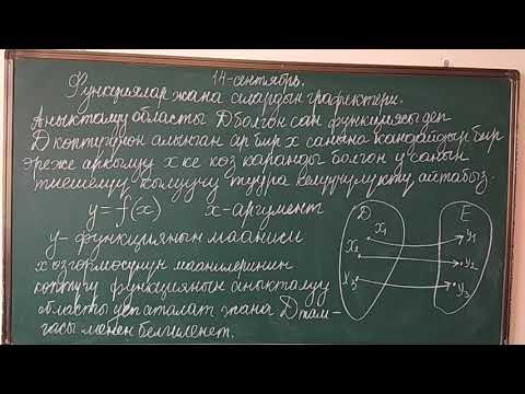 Видео: Функция 1.  10кл