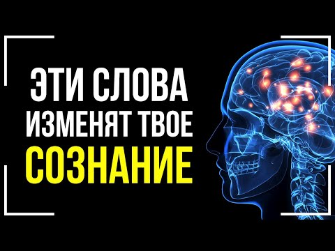 Видео: Вадим Зеланд - Как Вырваться из Нищеты и стать БОГАТЫМ! Смотреть Всем!