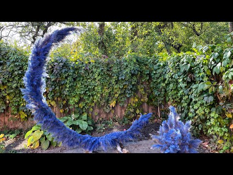 Видео: Цветной тростник в декоре.Фотозона Месяц Синий из камыша месяц из пампасной травы.Покраска тростника