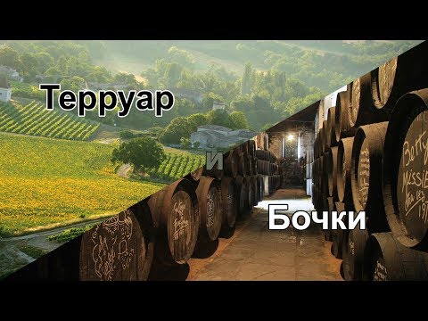 Видео: Терруар и Дубовые Бочки / Винный Ликбез