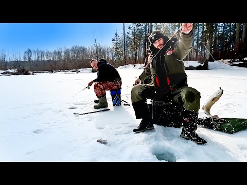 Видео: Горная рыбалка в Сибири. Ловля ленка и хариуса ранней весной. Зимняя рыбалка в тайге.