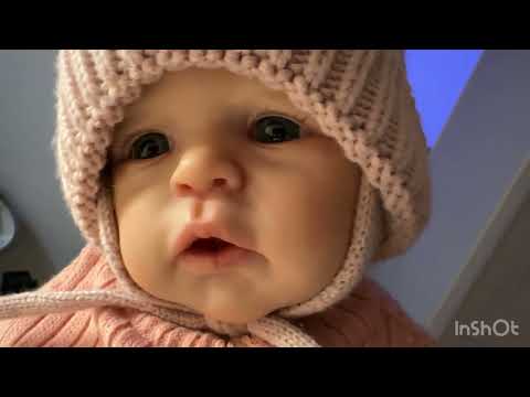 Видео: Наш первый совместный Влог с Ханной лабрадором и с Сенди реборном на прогулке