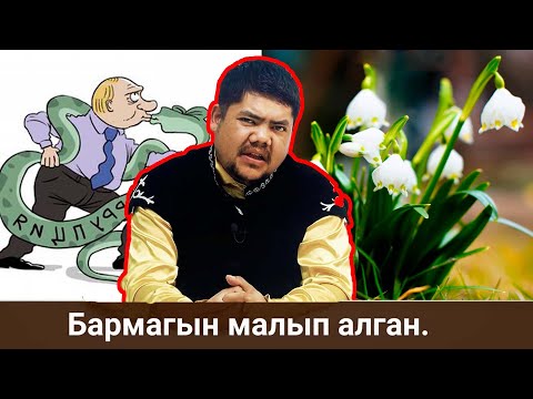 Видео: Болот Назаров - Жазында | Айт Айт Десе