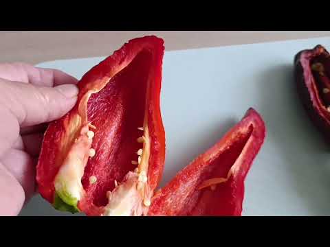 Видео: Садово- огородный влог : капуста большая,дынька ароматная,вкусная😋