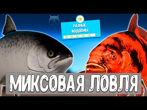 Видео: 🔴 РР4/ рыбалка для души, ловим как универсал, общаемся 31.10.2025
