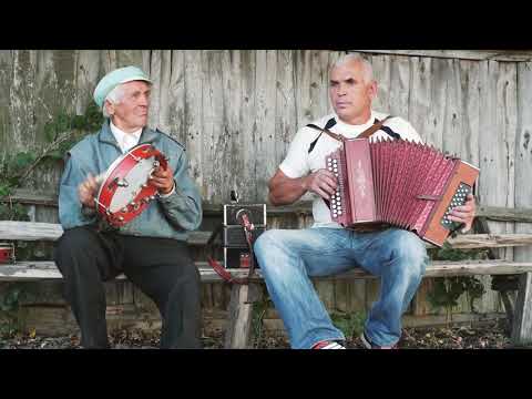 Видео: Один вечір у селі з гармошкою і бубном.