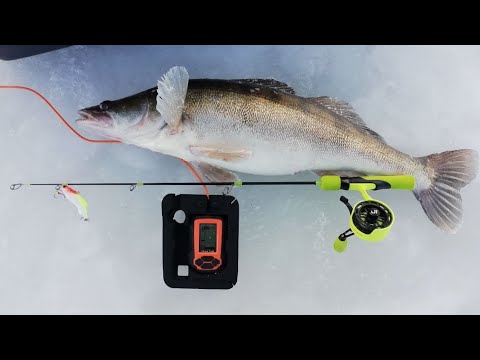 Видео: ЗИМНЯЯ РЫБАЛКА НА СУДАКА С ЭХОЛОТОМ ПРАКТИК.ЛУЧШАЯ УДОЧКА НА СУДАКА.ЛУЧШИЕ ПРИМАНКИ НА СУДАКА.р.КАМА