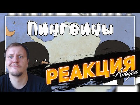 Видео: 🤣РЕАКЦИЯ AMIGON НА Пингвины - Мудреныч (Добро пожаловать в Антарктиду)