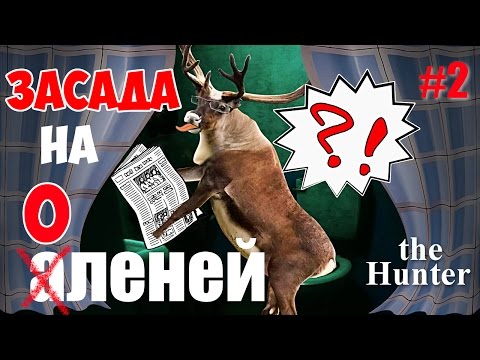 Видео: Валим оленей! theHunter #2