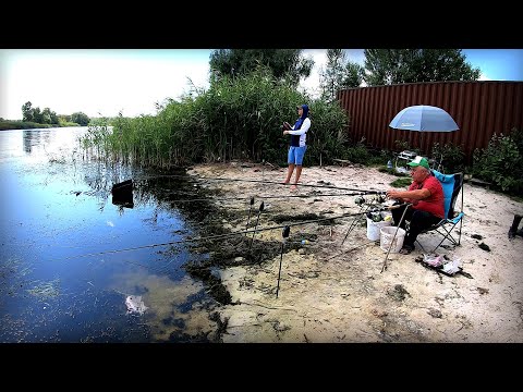 Видео: А це вже не шутки! Ще не осінь, а вже клюють Дніпрові трофеї !!!