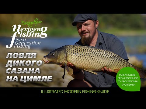 Видео: Ловля дикого сазана на водохранилище / Рыбалка нового поколения