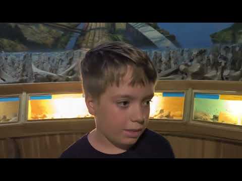 Видео: Здравнево. Витебск. Что посмотреть в Витебске?