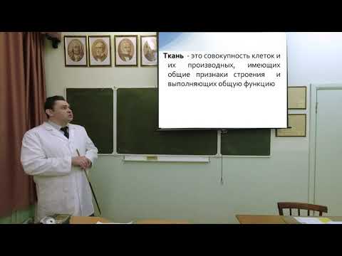 Видео: Введение в учение о тканях.Эпителиальные ткани. Железы