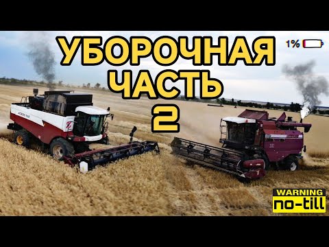 Видео: No-Till уборочная 2025 часть 2