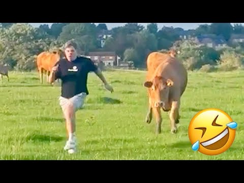 Видео: 45 МИНУТ НЕВОЗМОЖНО 🤣 ОСТАНОВИТЬСЯ СМЕЯТЬСЯ САМЫЕ НЕЛЕПЫЕ И РЖАЧНЫЕ ПРИКОЛЫ 2025 УГАРНАЯ ПОДБОРКА