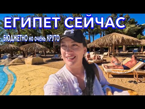 Видео: Египет 2024. УНИКАЛЬНЫЙ ОТЕЛЬ‼️Sindbad Club 4*. Я не ОЖИДАЛА. Нереально зеленый! Хургада сейчас