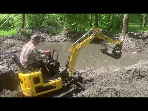 Видео: 21 мая 2025 г.