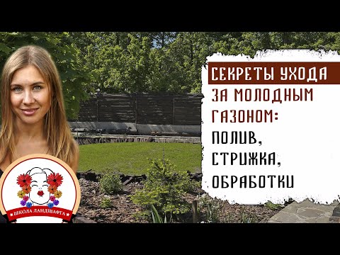 Видео: СЕКРЕТЫ УХОДА ЗА МОЛОДЫМ ГАЗОНОМ. ПОЛИВ, СТРИЖКА, ОБРАБОТКИ