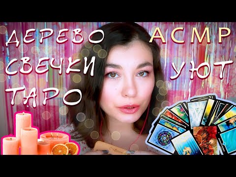 Видео: АСМР// САМЫЕ УЮТНЫЕ ТРИГГЕРЫ // ОСЕННИЕ ФАВОРИТЫ // КУПИЛА ТАРО! // ASMR