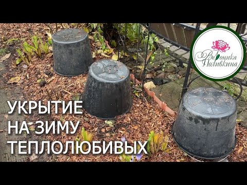 Видео: ПРОВЕРЯЕМ   ВСЕ ЛИ УКРЫЛИ НА ЗИМУ