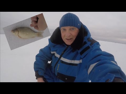 Видео: озеро "УЕЛГИ". Фартануло с первой лунки❗Ловля карася зимой❗