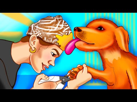 Видео: Как правильно подстричь когти собаке дома