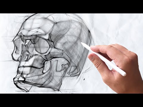 Видео: Как ПРАВИЛЬНО рисовать ЧЕРЕП / Skills Up School