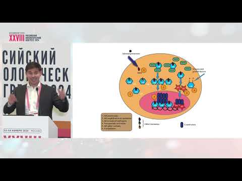 Видео: Лекарственное лечение злокачественных опухолей – цитостатики, эндокринотерапия, таргетная терапия