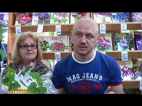 Видео: ДФ.Абутилоны - наше хобби (Г.Широкова и А.Тришкин).