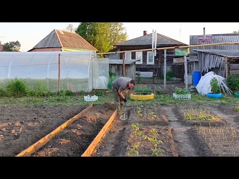 Видео: Огородные моменты, грядки из дерева,  набрали соломы...
