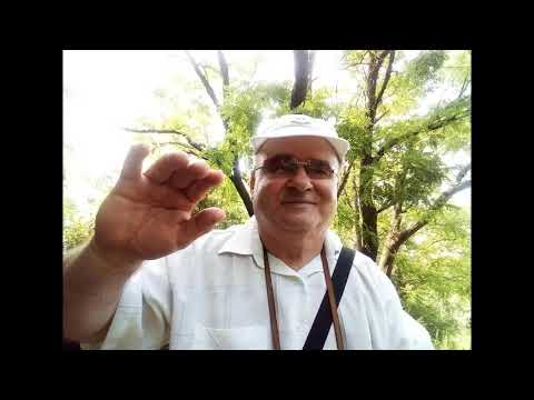 Видео: СТОЯН ДЕЧЕВ  -- МОИТЕ КРАСИВИ МИГОВЕ СРЕД ПРИРОДАТА.