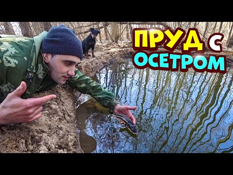 Видео: Окультурил лесной пруд с осетром! Сделал водяное колесо! Жарю колбаски