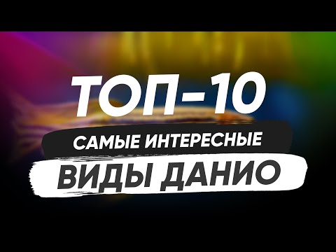 Видео: Топ-10. Данио. Виды