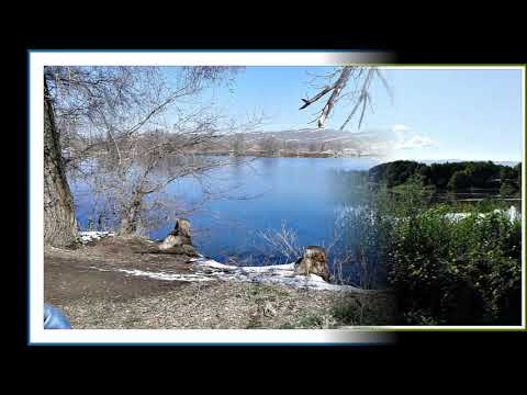 Видео: Карабулак 2019