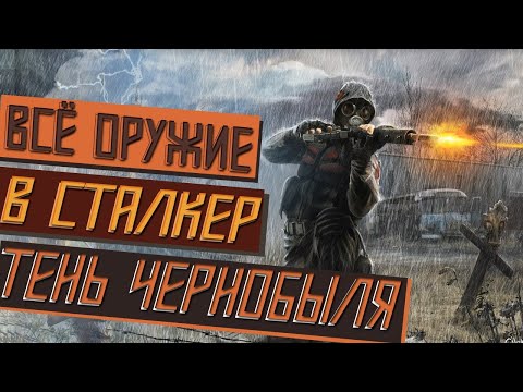 Видео: ВСЕ ОРУЖИЕ В СТАЛКЕР ТЕНЬ ЧЕРНОБЫЛЯ