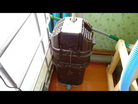 Видео: Осетр в домашних условиях #6. Узв на новом месте