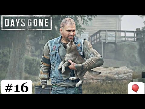 Видео: #16 Новый ДРУГ - Days Gone / Жизнь после
