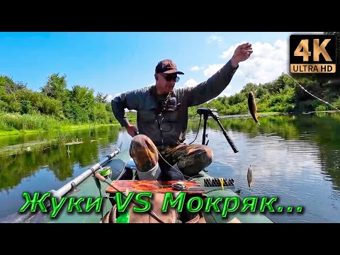 Видео: Нахлыст. Разведка, река Пьяна. Жуки против мокряка.