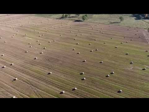 Видео: Ленинград — Гамаюн