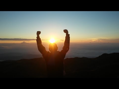 Видео: Вебинар принятие решений и выбор пути часть 1