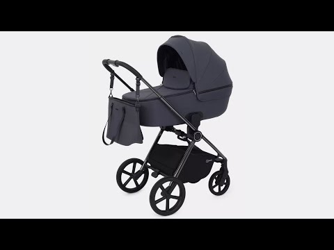 Видео: Обзор коляски 2 в 1 RANT TEO BLACK CHROME