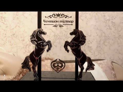 Видео: 10.12.2024 Қызылжар е/м 1988-жылғы жігіттердің 20 жылдық көкпары