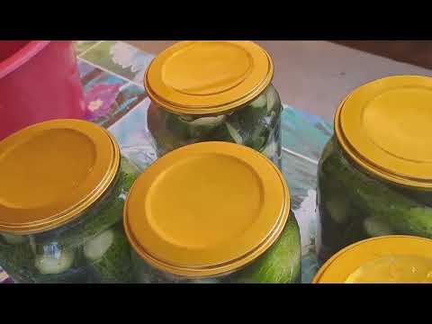 Видео: ПРОЩЕ И ВКУСНЕЕ НЕ БЫВАЕТ🥒🥒🥒👍